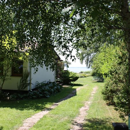 Villa Beata Nowe Warpno Exterior photo